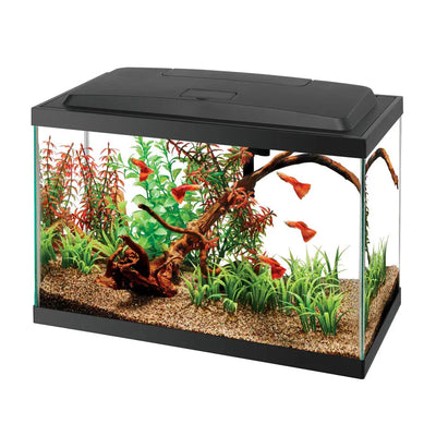 Aqueon Aquarium Starter Kit with LED Lighting 5.5gal Aqueon