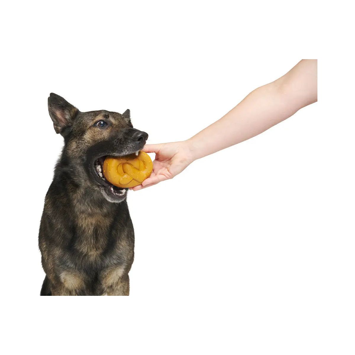 BARK Barkvarian Pretzel Dog Toys BARK