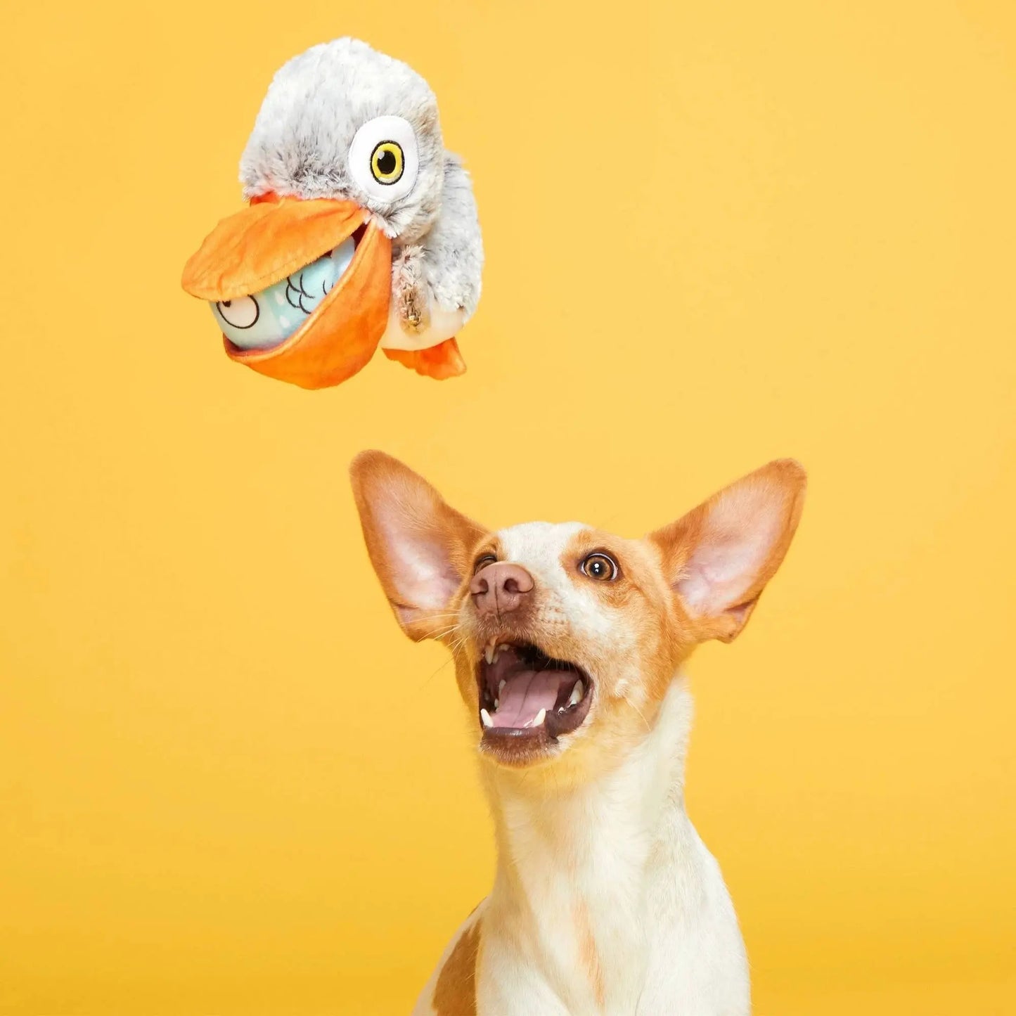 BARK Big Bill & Beak-A-Boo Fish Dog Toy BARK