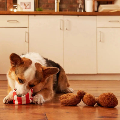 BARK Bucket O' Fried Licken Chicken Plush Dog Toy BARK