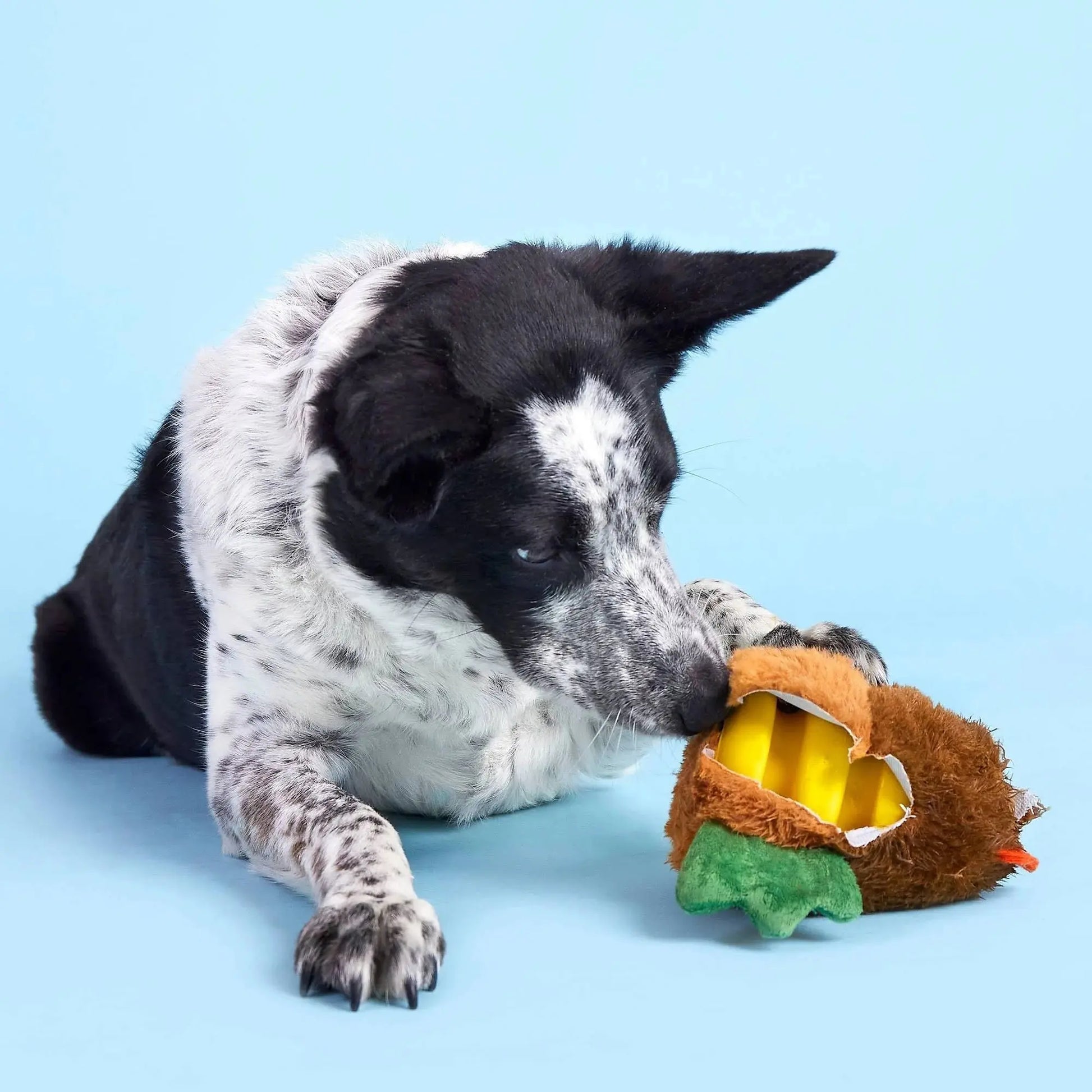 BARK Fowl Play Dog Toys BARK