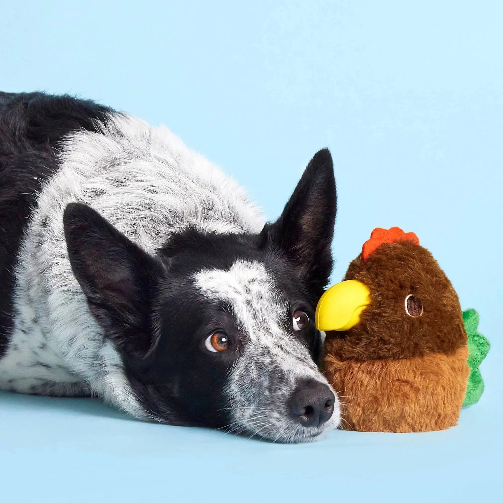 BARK Fowl Play Dog Toys BARK