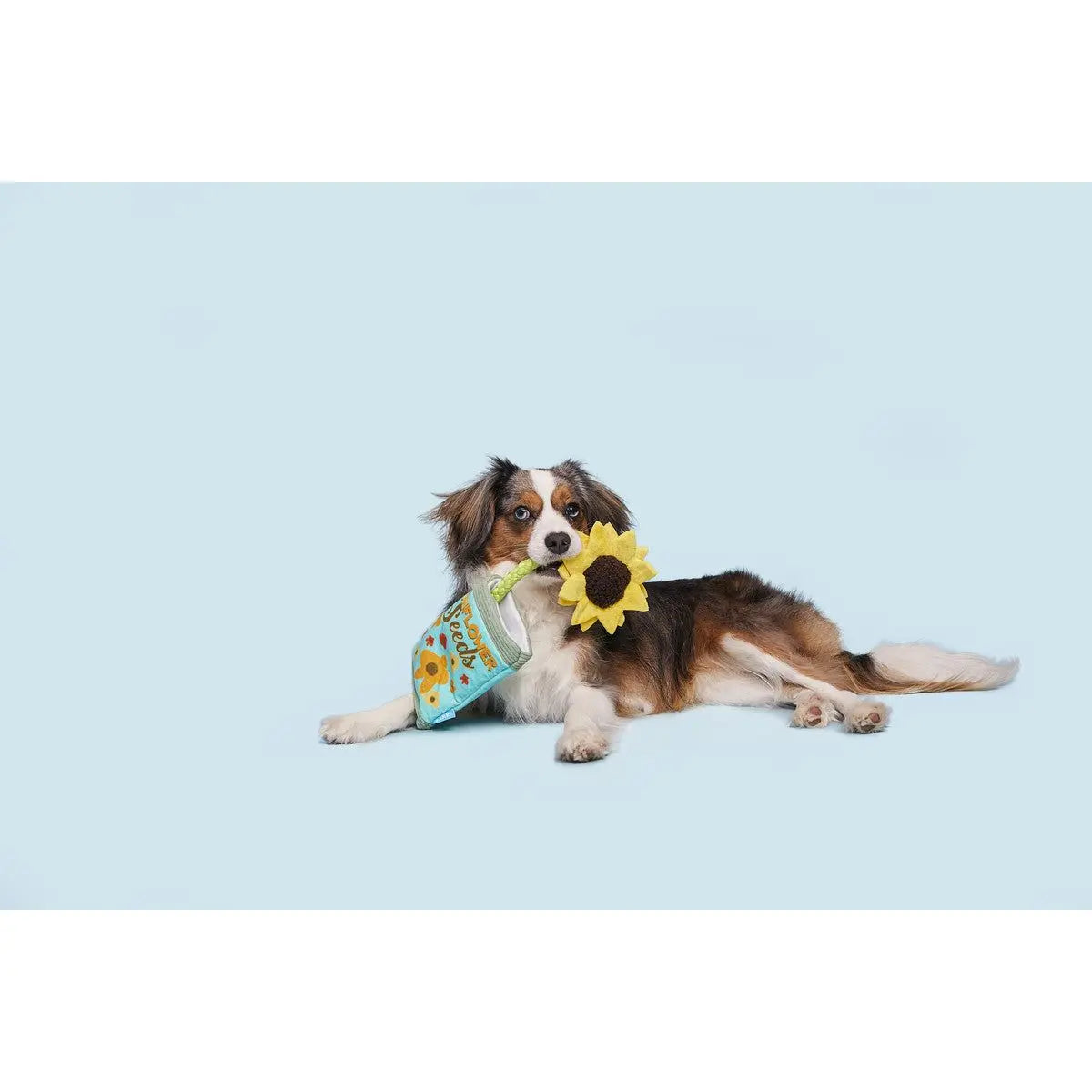 BARK Funflower Seeds Rope Dog Toy BARK