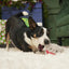 BARK Merry Chris-Mouse Rip & Reveal Super Chewer Dog Toy BARK