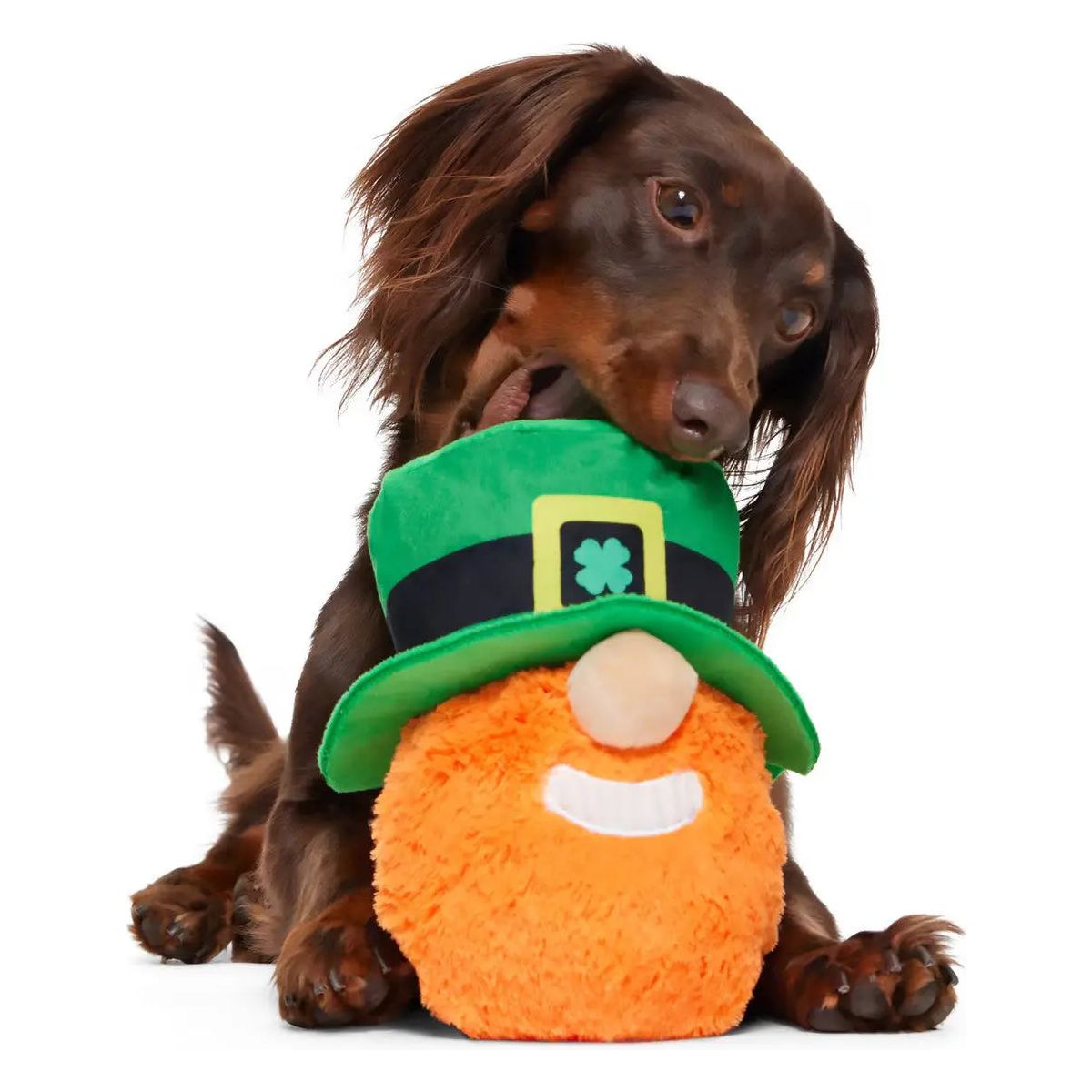 BARK Paddy O'Belly St. Patrick's Day Dog Toy BARK