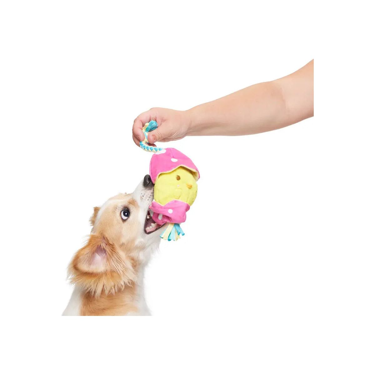 BARK Peep-A-Bird Plush Dog Toy BARK