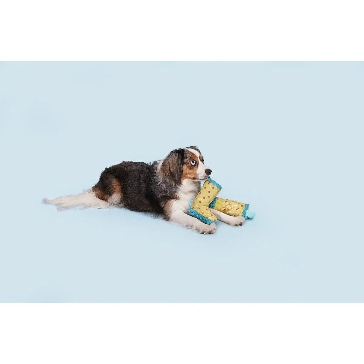 BARK Smelly Wellies Plush Dog Toy BARK