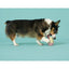 BARK Super Chewer I-Squeak Cone Dog Toy Medium-Large BARK