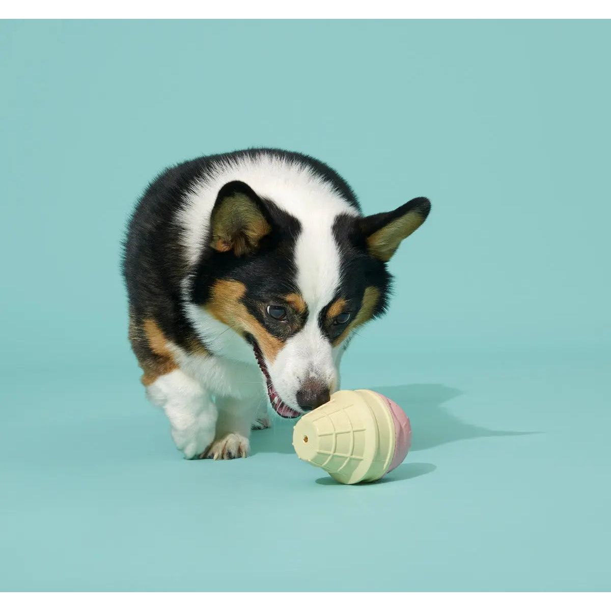 BARK Super Chewer I-Squeak Cone Dog Toy Medium-Large BARK