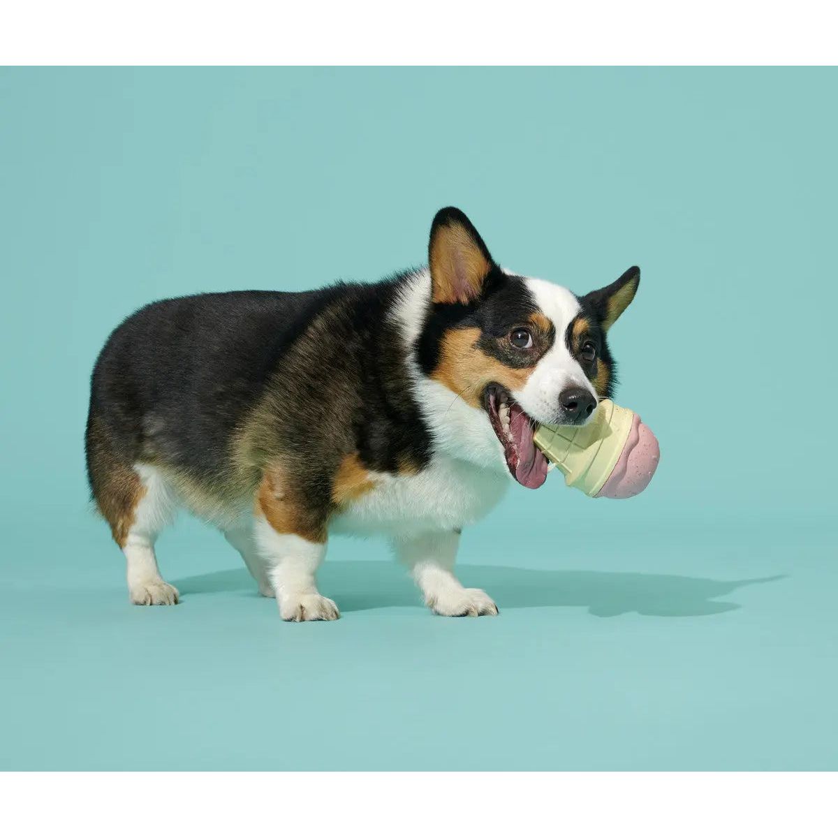 BARK Super Chewer I-Squeak Cone Dog Toy Medium-Large BARK
