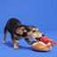 BARK The Everything Dog Fourth Of July BBQ Plush Dog Toy BARK