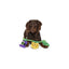 BARK Tuggy Charms Rope Dog Toy BARK