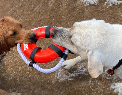 BAYDOG Fetch Ring Toy for Dogs BAYDOG