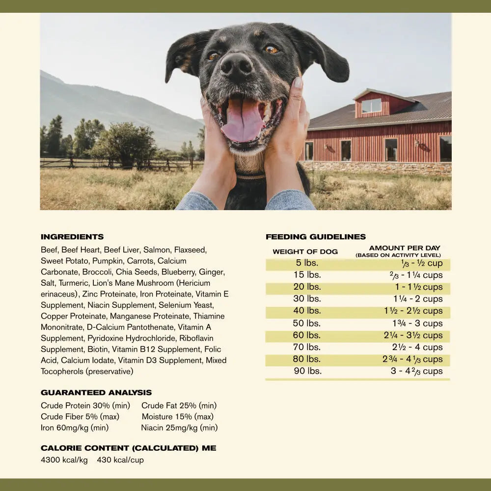 Badlands Ranch Superfood Complete Grain-Free Beef Air-Dried Dog Food Badlands Ranch