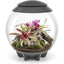 BiOrb AIR 60 Terrarium BiOrb