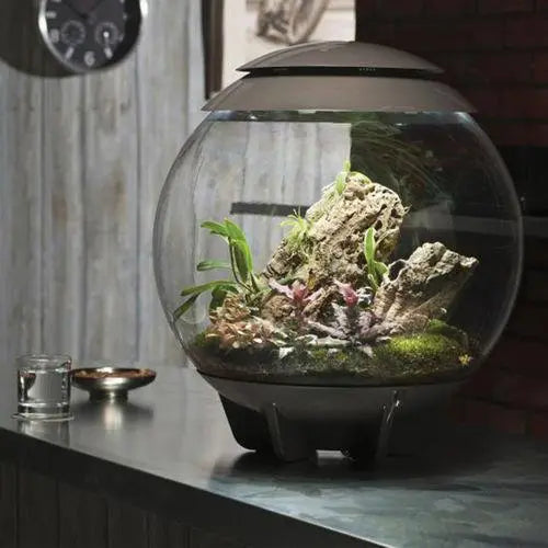 BiOrb AIR 60 Terrarium BiOrb