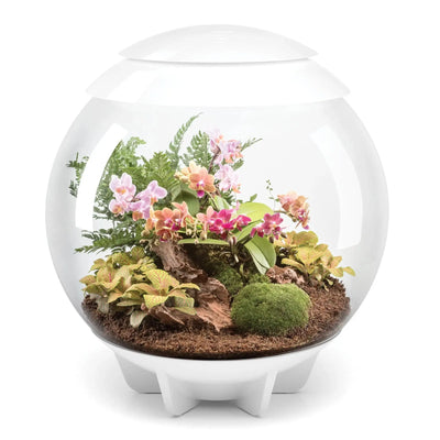 BiOrb AIR 60 Terrarium BiOrb