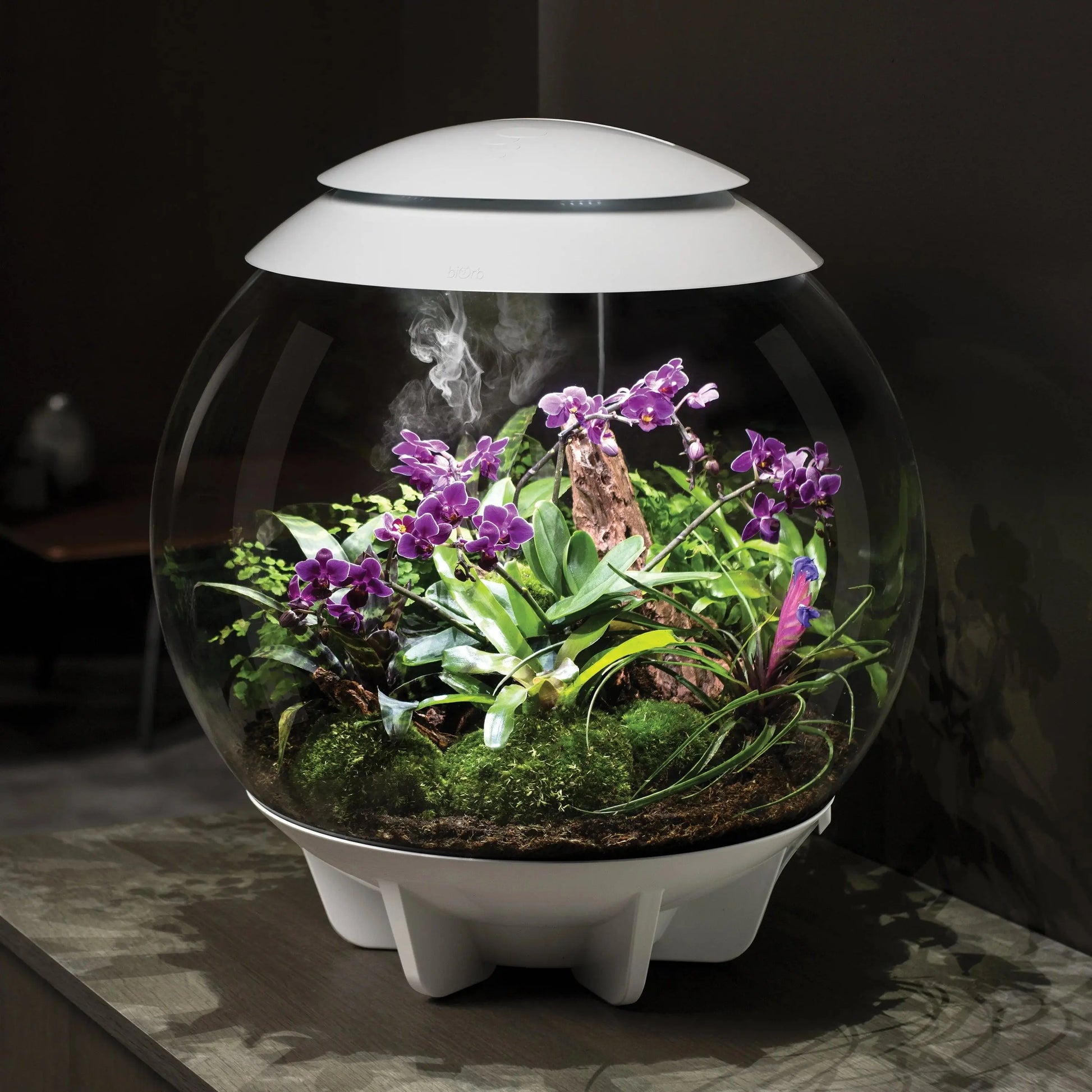 BiOrb AIR 60 Terrarium BiOrb