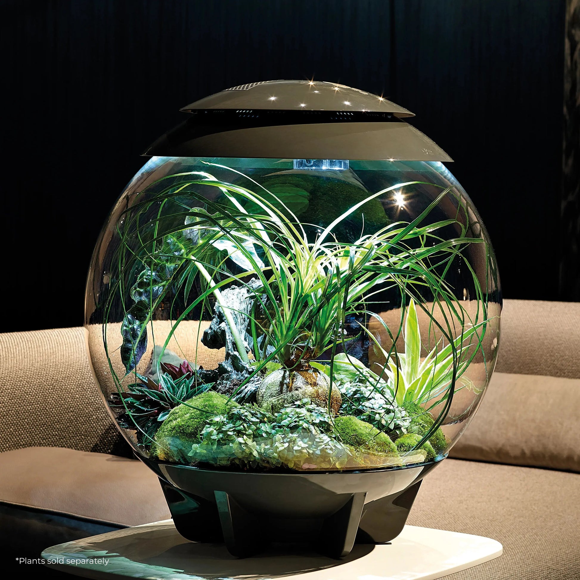 BiOrb AIR 60 Terrarium BiOrb