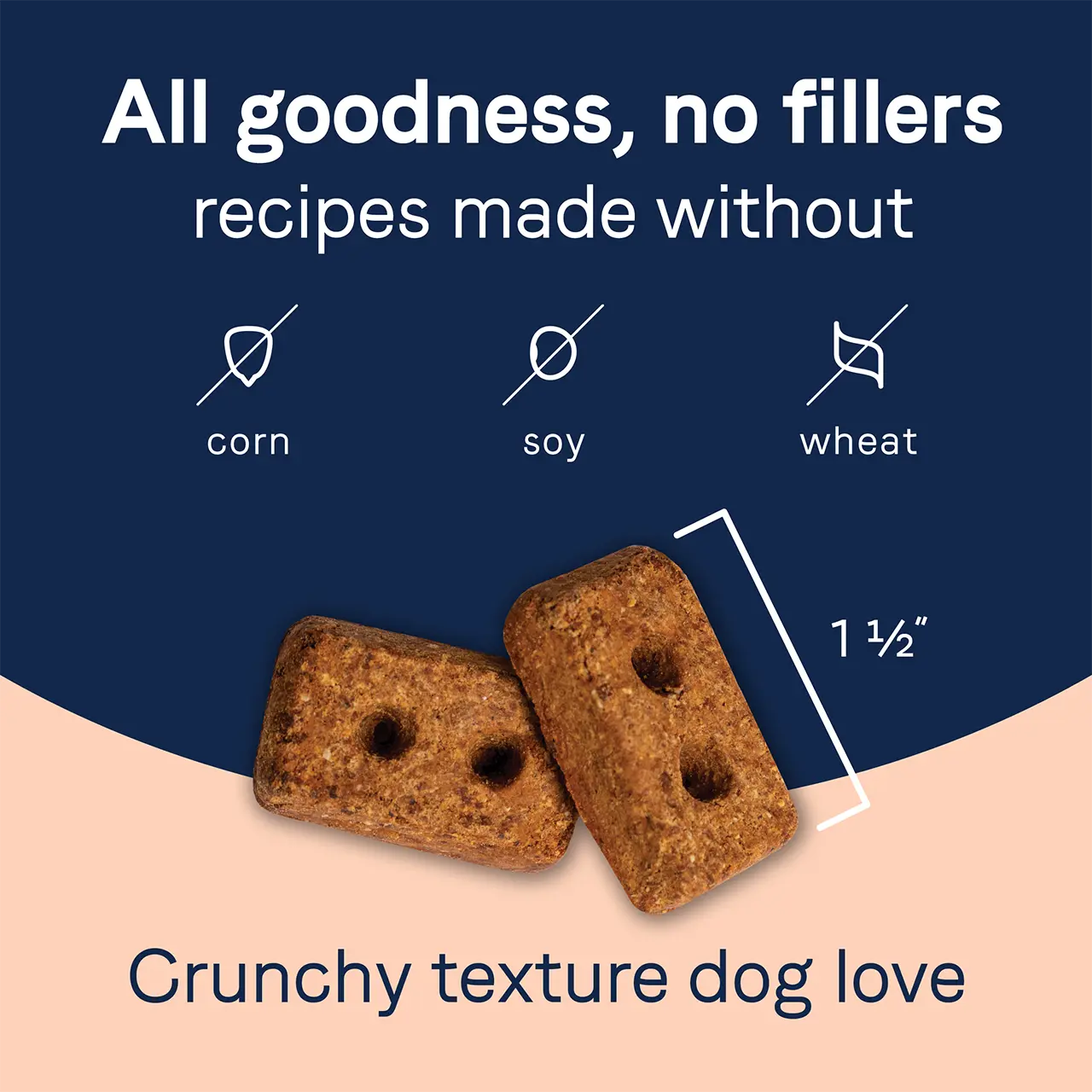 CANIDAE PURE Goodness Grain Free Biscuit with Lamb Liver & Butternut Squash Dog Treats 11 oz CANIDAE