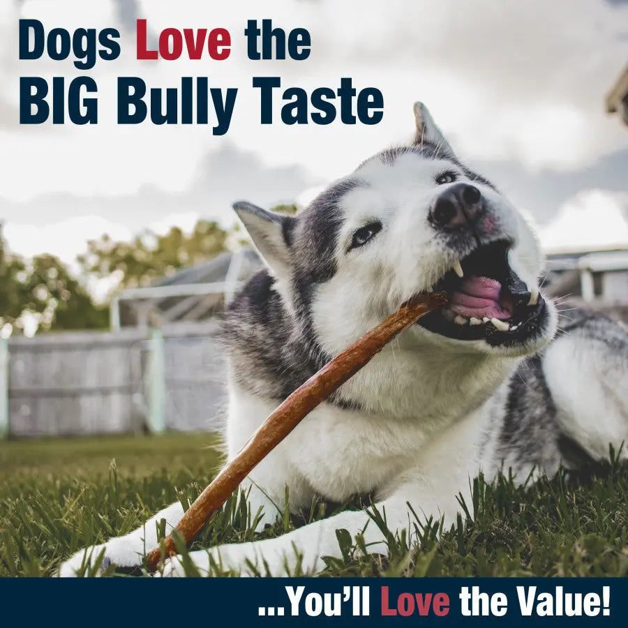 Cadet Bully Hide Sticks All-Natural Dog Chews Cadet