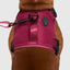 Canada Pooch Complete Control Dog Harness Canada Pooch