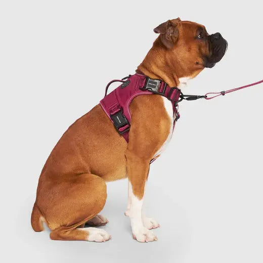 Canada Pooch Complete Control Dog Harness Canada Pooch