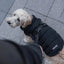 Canada Pooch Dog Puffer with Harness Canada Pooch