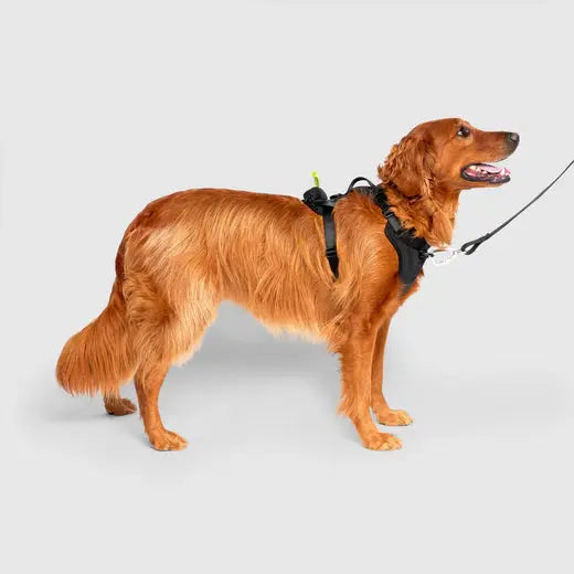 Canada Pooch The Everything Harness with Poop Dispenser Canada Pooch