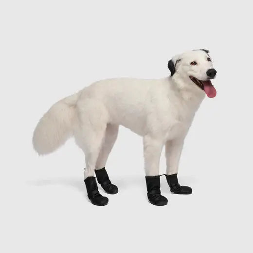 Canada Pooch Waterproof Rain Dog Boots Canada Pooch