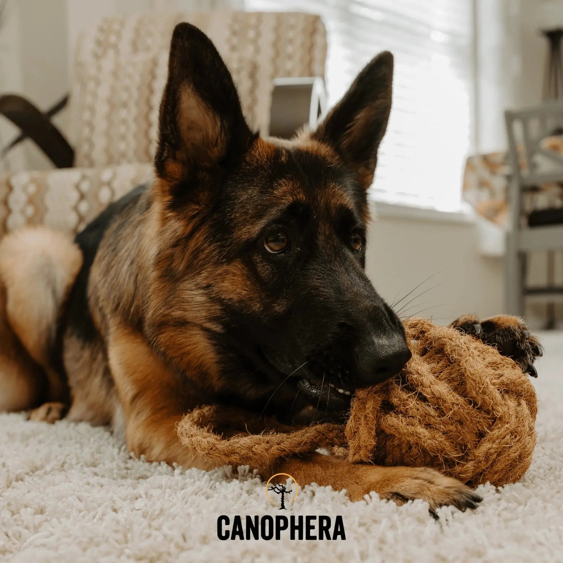 Canophera Coconut Rope Toys for Dogs CANOPHERA