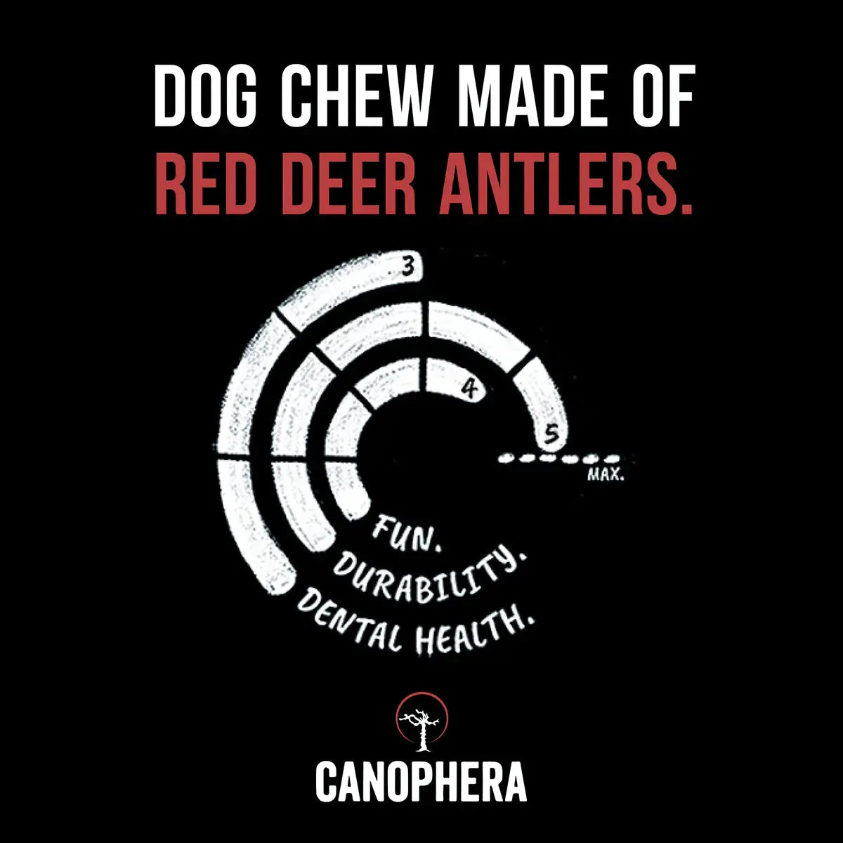 Canophera Whole Red Deer Antler Dog Chew CANOPHERA