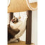 Catry, Camel Cat Tree Tower with Paper Rope Covered Scratching and Condo Tunnel PetPals Group