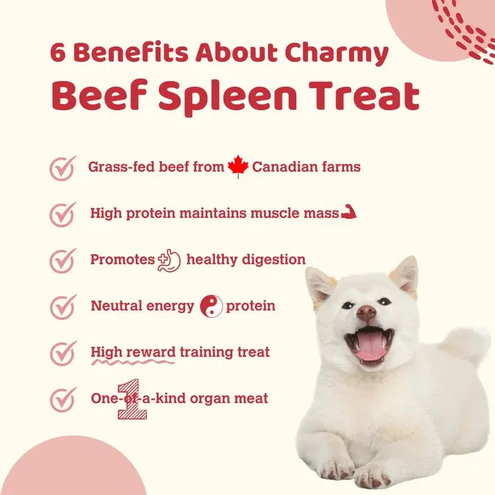 Charmy Pet Beef Spleen Dog Treats 3.8 oz Charmy Pet