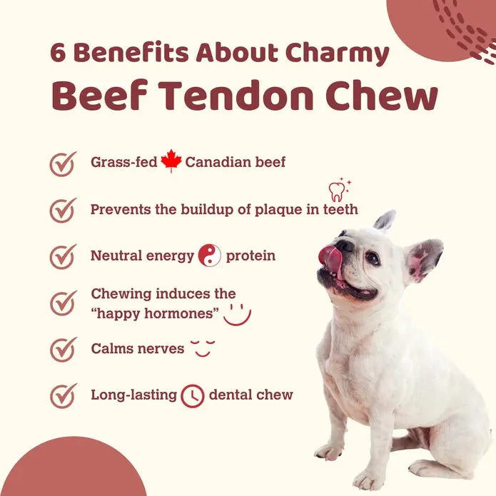 Charmy Pet Beef Tendon Dog Treats 5.6 oz Charmy Pet