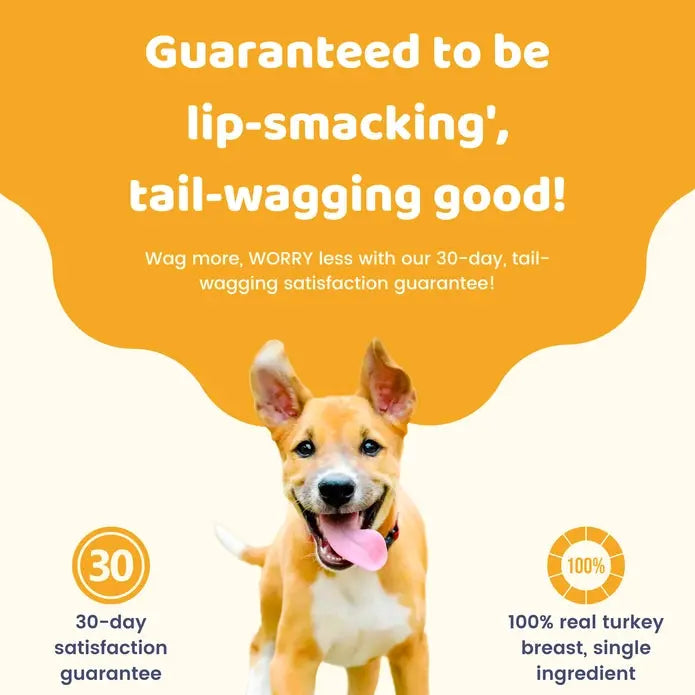 Charmy Pet Turkey Breast Dog Treats 3.5 oz Charmy Pet