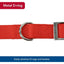 Coastal Flat Buckle Double Ply Nylon Collars & Leads Coastal Pet