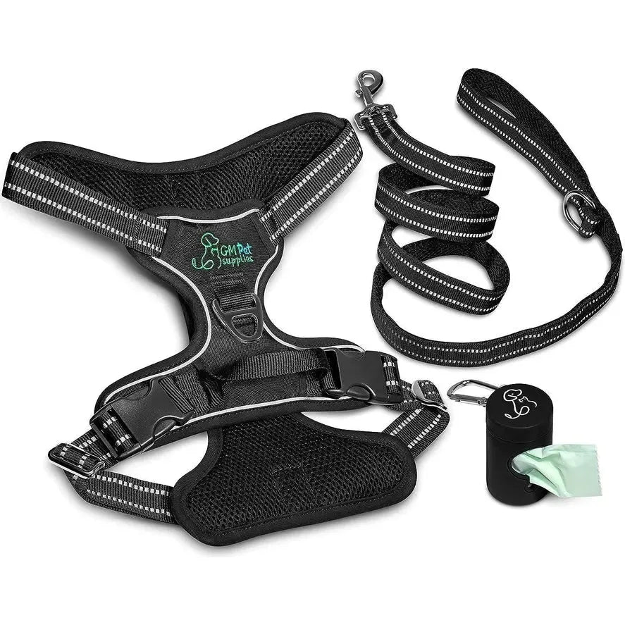 Dog Harness Walking Kit and Leash Set Katziela