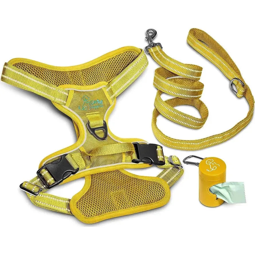 Dog Harness Walking Kit and Leash Set Katziela