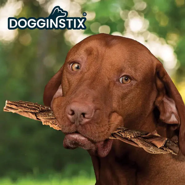 Dogginstix Braided Beef Tripe Sticks for Puppies Dogginstix