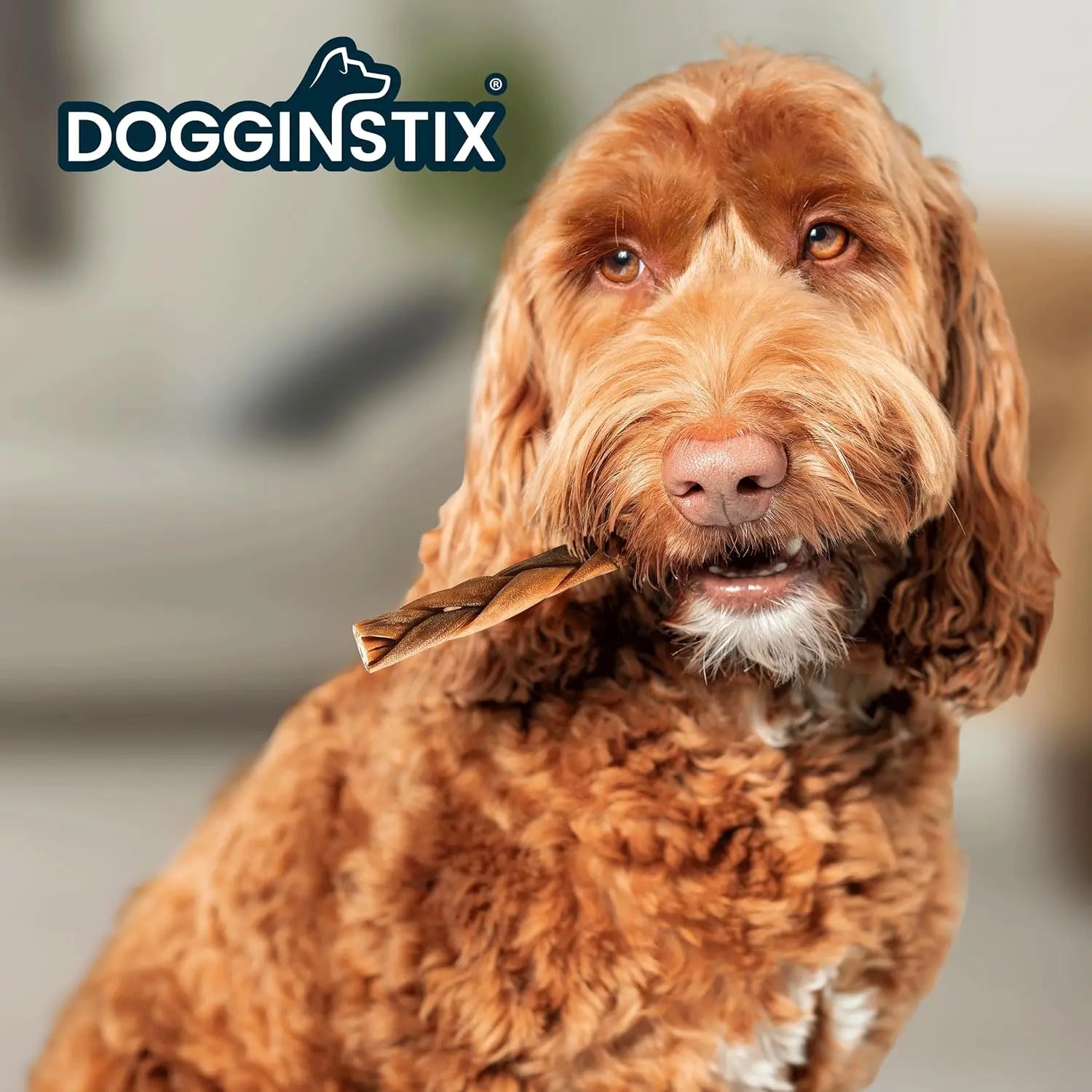 Dogginstix Braided Lamb Collagen Sticks Dog Chew Dogginstix