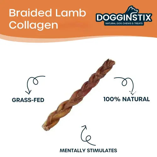 Dogginstix Braided Lamb Collagen Sticks Dog Chew Dogginstix