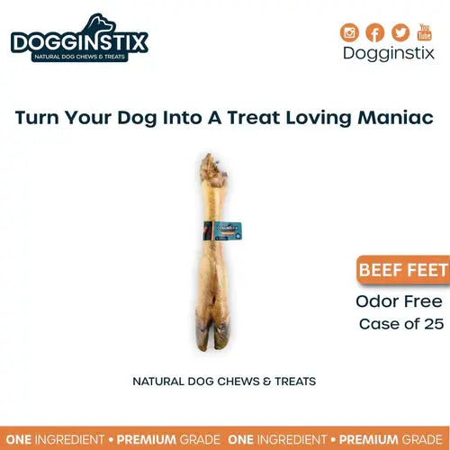 Dogginstix Odor Free Beef Feet - Beef Trotter Dog Chews Case of 20 Dogginstix