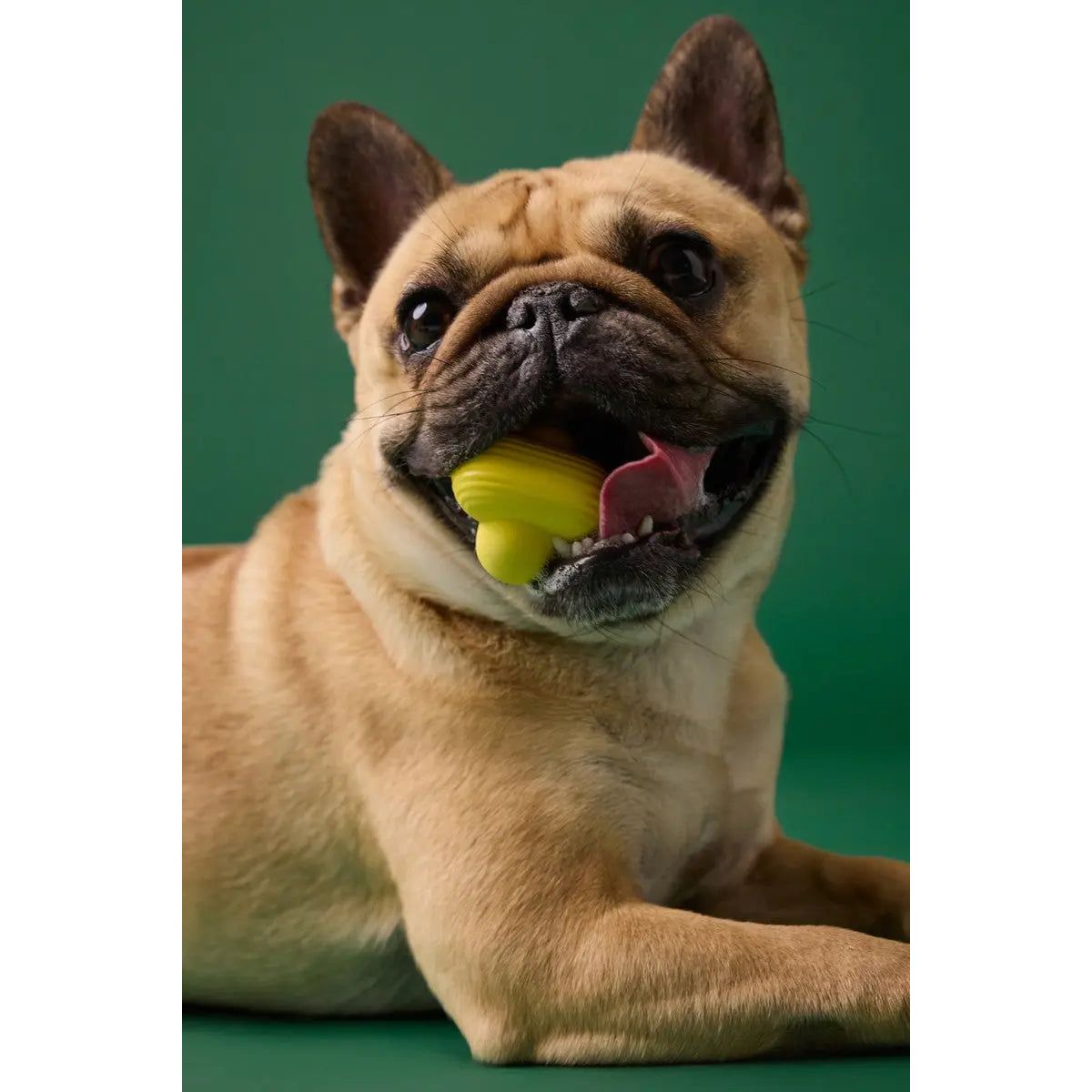 Earth Rated Dog Fetch Toy Yellow Rubber Earth Rated