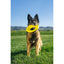 Earth Rated Dog Flyer Toy Yellow TPE Earth Rated