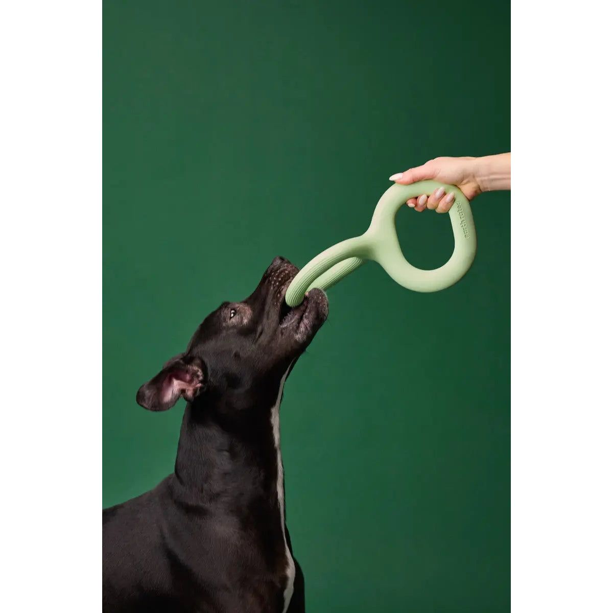 Earth Rated Dog Tug Toy Green Rubber Earth Rated