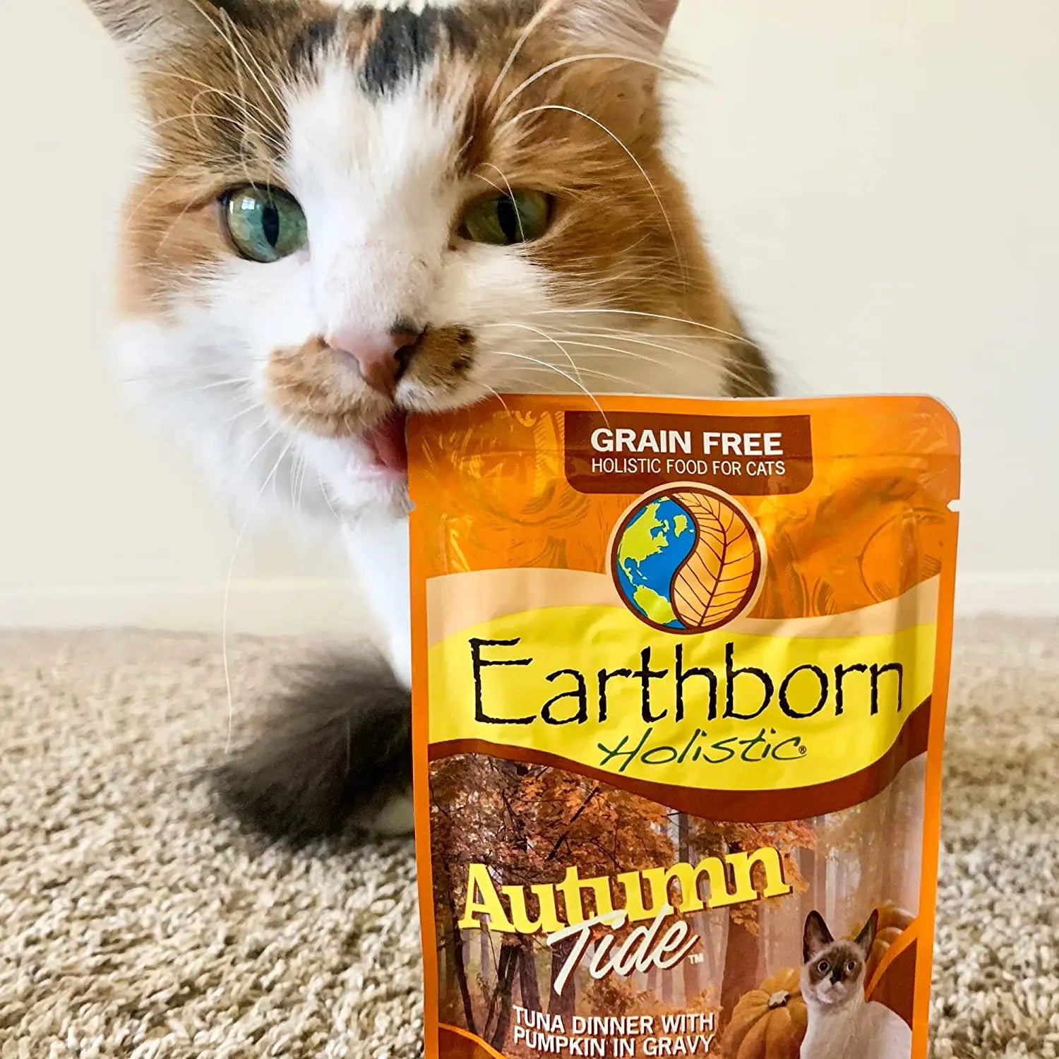 Earthborn Holistic Grain Free Autumn Tide Wet Cat Food 24ea/3 oz Earthborn Holistic