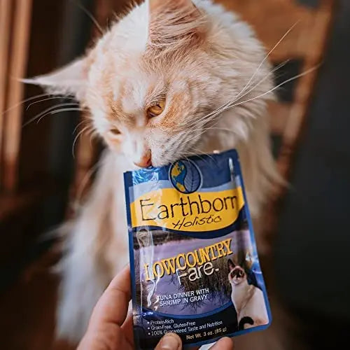 Earthborn Holistic Grain Free Lowcountry Fare Wet Cat Food 24ea/3 oz Earthborn Holistic