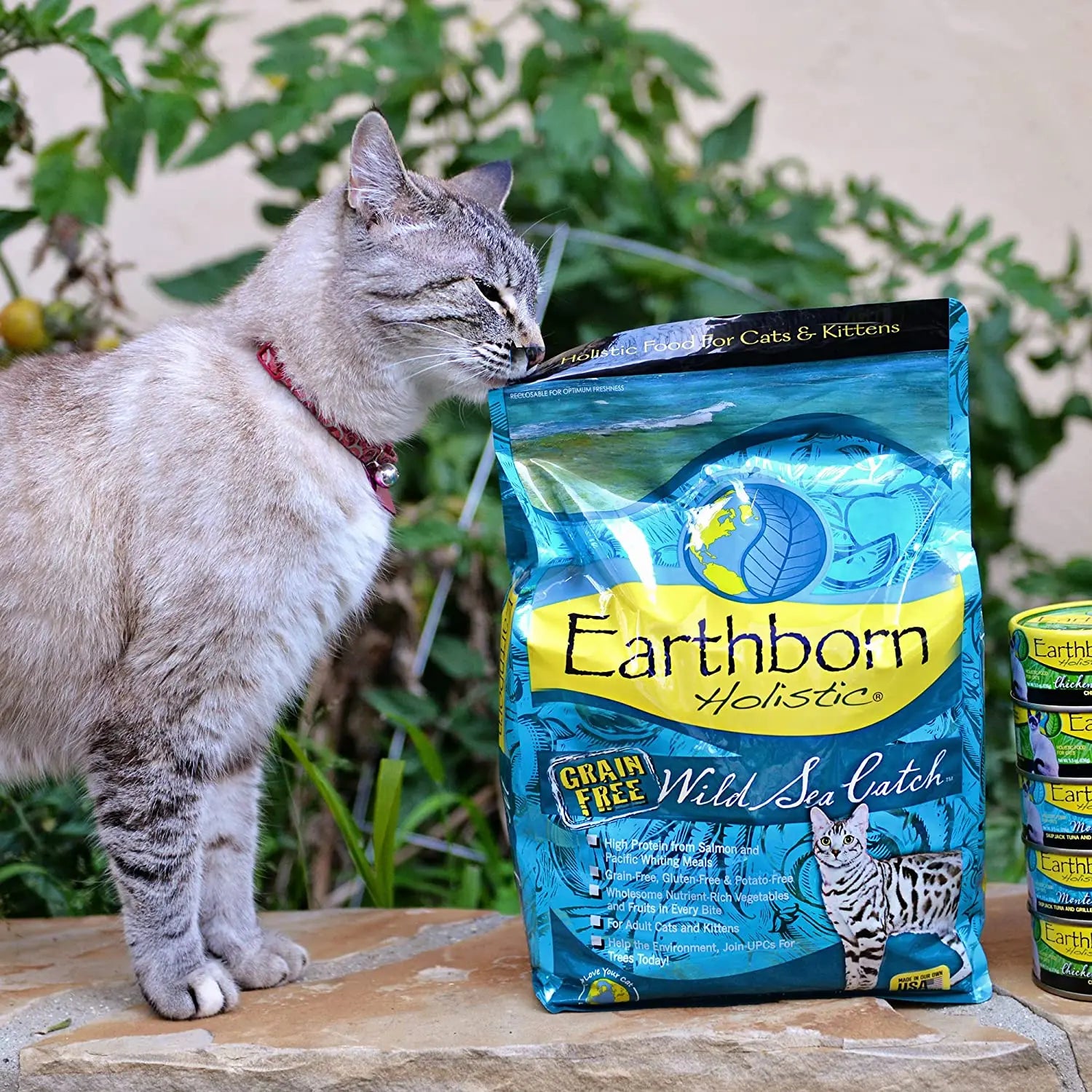 Earthborn Holistic® Grain Free Wild Sea Catch Cat Food Earthborn Holistic®