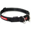 EzyDog Double Up Premium Nylon Dog Collar with Reflective Stitching EZY Dog